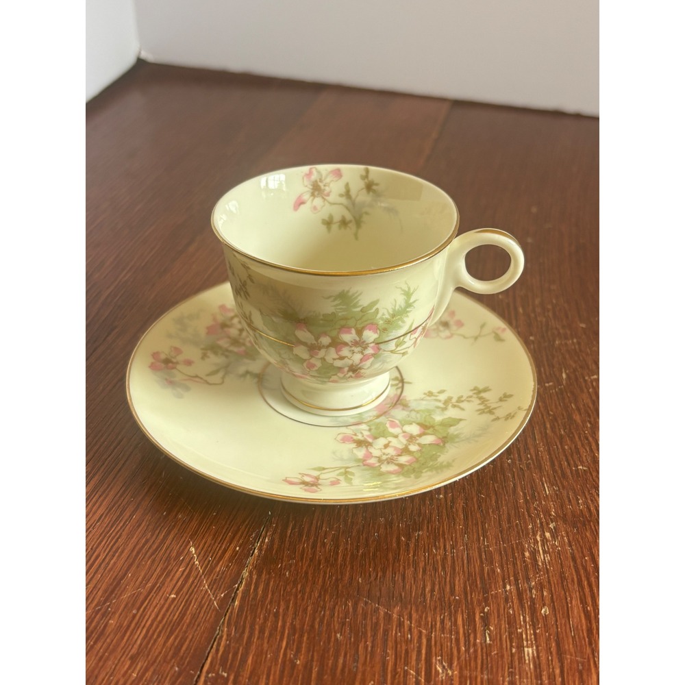 Theodore Haviland New York Apple Blossom Tea Cup and Saucer Set Vintage China